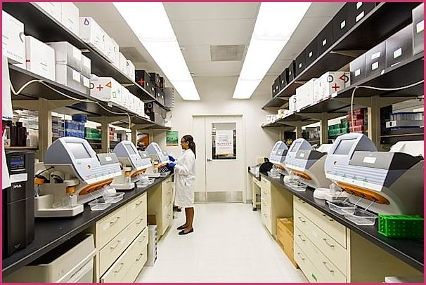 Modern Medical Laboratory